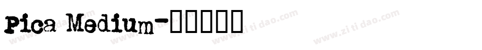 Pica Medium字体转换
